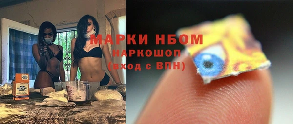 шишки Магадан