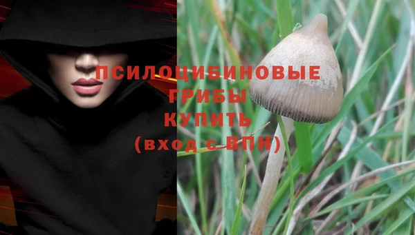 шишки Магадан