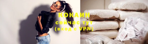 шишки Магадан