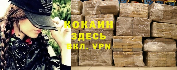 дживик Магас