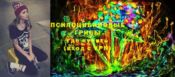 шишки Магадан