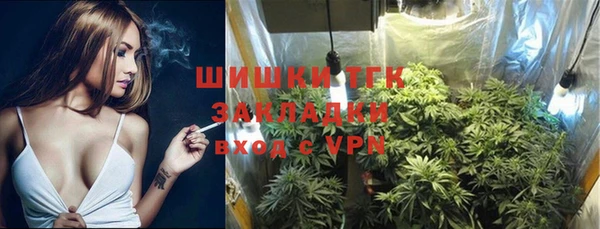 шишки Магадан