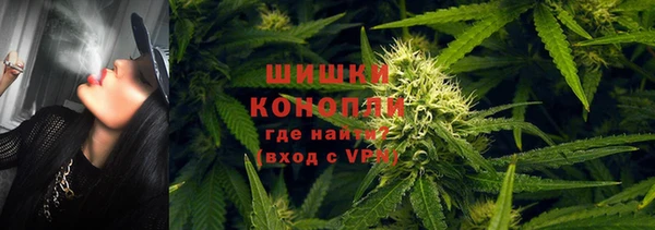 дживик Магас