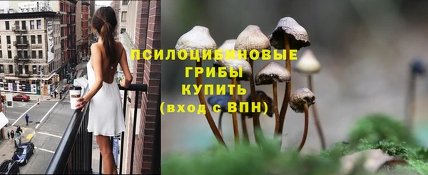 дживик Магас