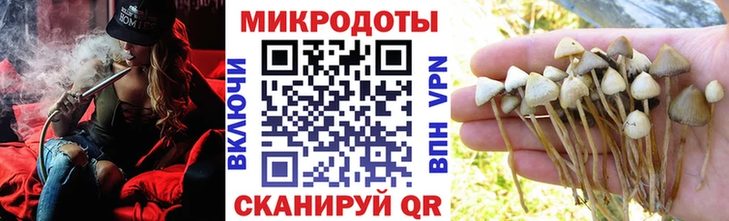 наркота Волгодонск Галлюциногенные грибы мицелий