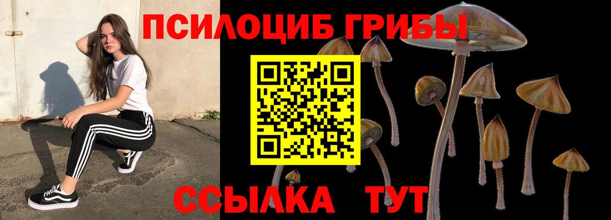 Волгодонск  Псилоцибиновые грибы Cubensis  Вход с VPN 